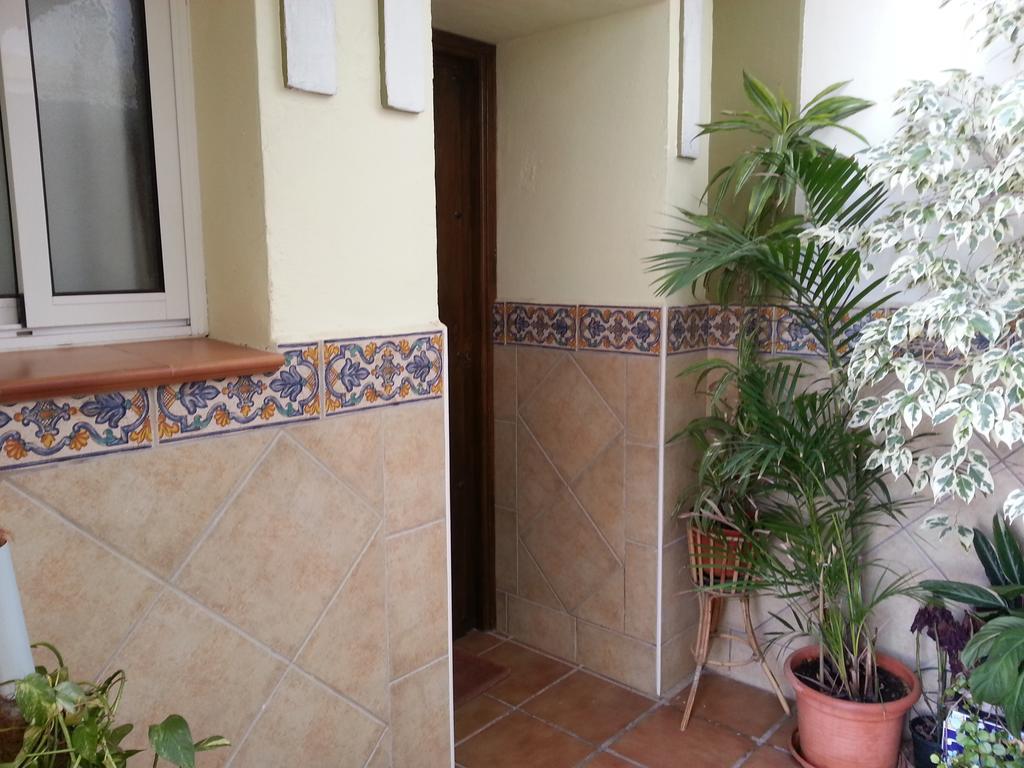 Appartement Costanerja *